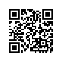 390621697 