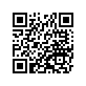 390851051 