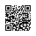 390851053 