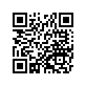 390870005 Pad-handle