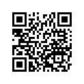 390931067 