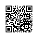 39110-1067 Штанга регулятор