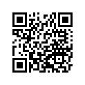 391370569 Stay-comp