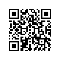 391370661 Stay-comp