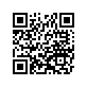 391541054 