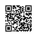 391541067 