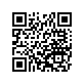 391541104 