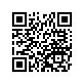39156-2163 パツド,20X50X8