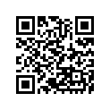 391560798 Pad, 152x20x10