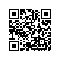 391560867 