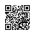 391562231 PAD,17X15X0.2