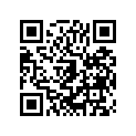 391562287 PAD,17X28X1