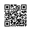 391562336 PAD,12X32.8X2