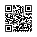 391562462 PAD,31X23X2