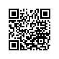 391781198 