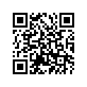 393-24247-20-00 