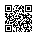 393-24249-30-00 