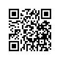 397-17231-00-00 