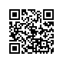 397-17241-00-00 