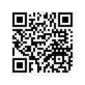 398-21110-01-33 FRAME