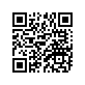 398-24110-11-W3 