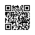 39809A1 SHIM SET