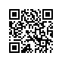 39900008 GUIDE,CHN,PLATE