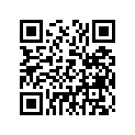 39X-11635-00-00 Piston 1 O/s 0.25  Alternative Parts