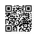 39X-11636-00-00 Piston 2 O/s 0.50  Alternative Parts