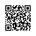 39X-11638-00-00 Piston 4 O/s 1.00  Alternative Parts