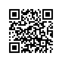 3C6-F83B1-11-00 