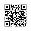 3D9-W2411-21-P2 