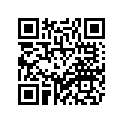3D9-W2533-00-00 Колодки Тормозные (Комплект)