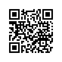3F9-27111-01-33 