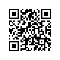 3FA-21691-00-00 Flap