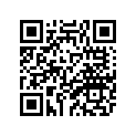 3FV-17161-00-00 4FN171610000