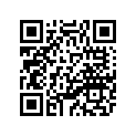3FY-11635-00-00 Поршень (0.25MM O/S)