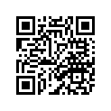 3GG-2173E-30-00 GRAPHIC 1 (RW)