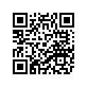 3GM-28303-91-00 GRAPHIC SET, LOWER