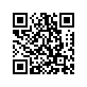 3H0-25389-00-00 ﾌﾟﾗｰ,ﾁｴﾝ 2