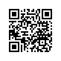 3JB-Y2428-G1-3X 
