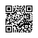 3LD-16150-03-00 Втулка упорная