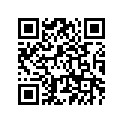 3LD-22151-00-00 Направляющая Цепи