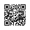 3LD-26111-00-00 Руль