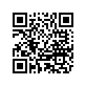 3P0S878010 DECAL SET M30A4