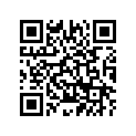 3P6-21511-00-PD Крыло Переднее