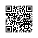 3R1-27411-00-00 Подножка