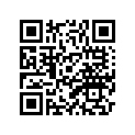 3R4-21110-00-33 