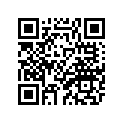 3RB-24245-00-00 Graphic, Fuel Tnk 2
