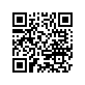 3T1721810 CAUTION DECAL B